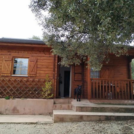 La Casa Del Estanque Villa Olocau del Rey Exteriör bild