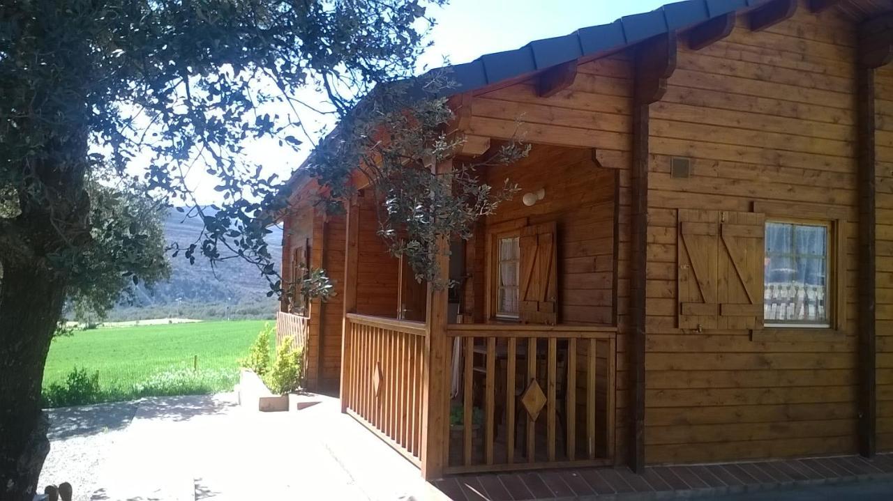 La Casa Del Estanque Villa Olocau del Rey Exteriör bild