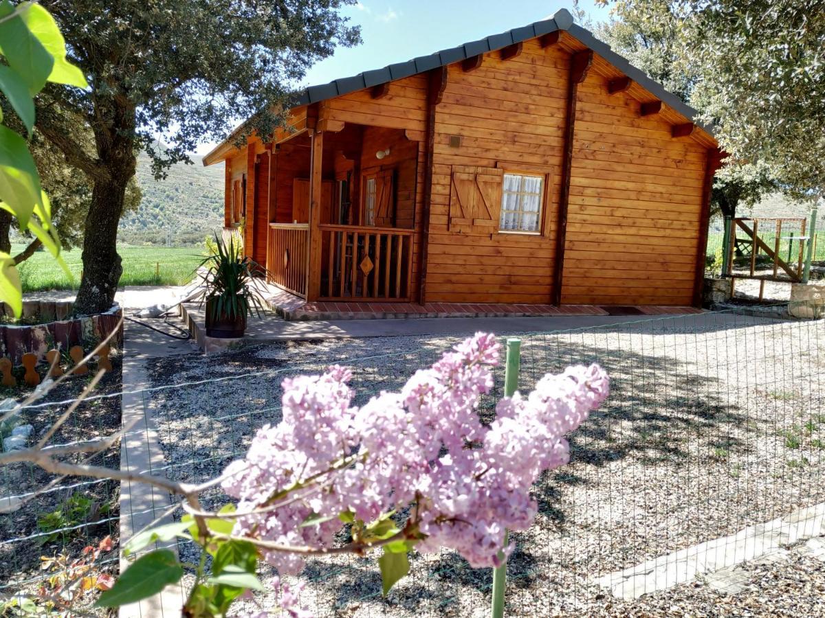 La Casa Del Estanque Villa Olocau del Rey Exteriör bild
