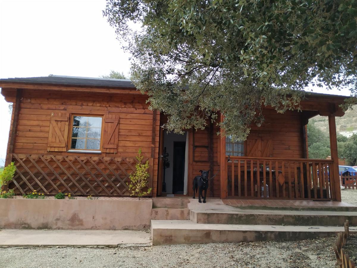 La Casa Del Estanque Villa Olocau del Rey Exteriör bild