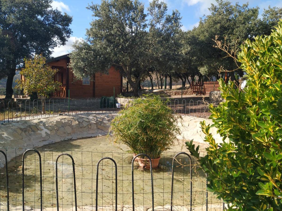 La Casa Del Estanque Villa Olocau del Rey Exteriör bild