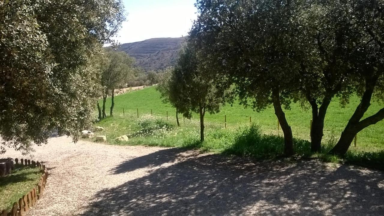 La Casa Del Estanque Villa Olocau del Rey Exteriör bild